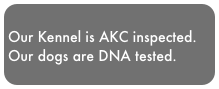 
Our Kennel is AKC inspected.
Our dogs are DNA tested.